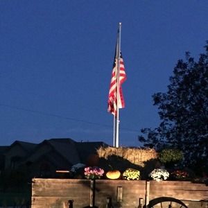 Meet your Posher, Alan